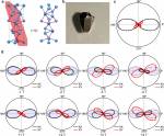 fig.6.jpeg fig.6.jpeg